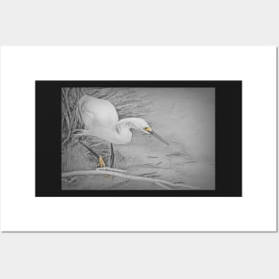 Snowy Egret Sketchy by Debra Martz Posters and Art